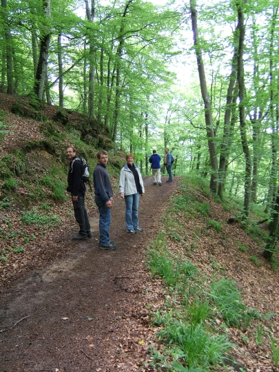 http://www.fordpflanzen.de/bilder/rolf/2007-Bourscheid/Wandern (15).JPG